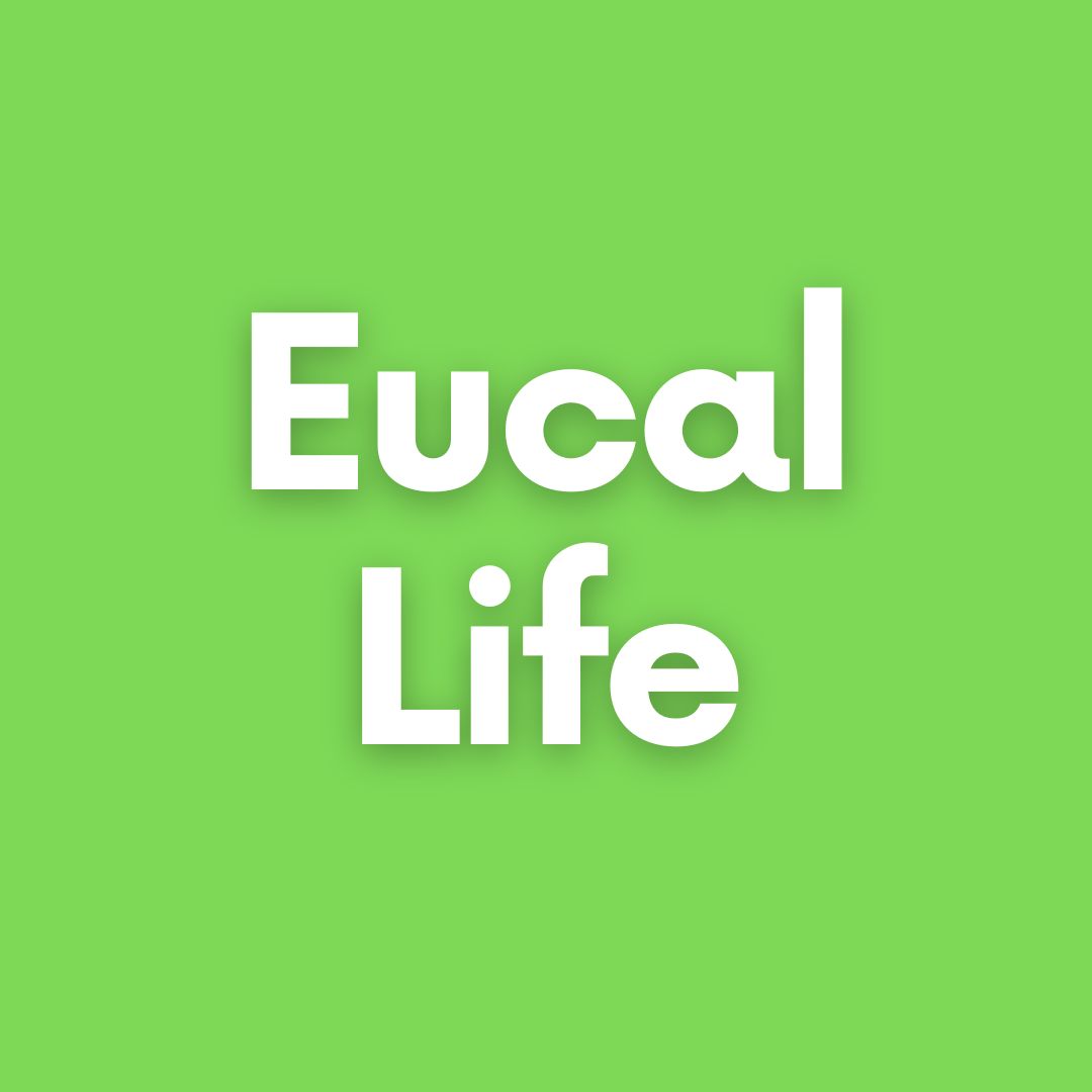 All Things Eucalyptus